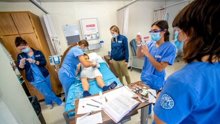 Hesiinet: The Ultimate Solution for Nursing Education 7 Hesiinet