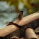 Weatherproof Your Roof