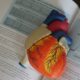 Medical Record Translation