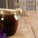 Buckwheat Honey