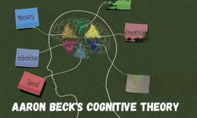 Cognitive Theory