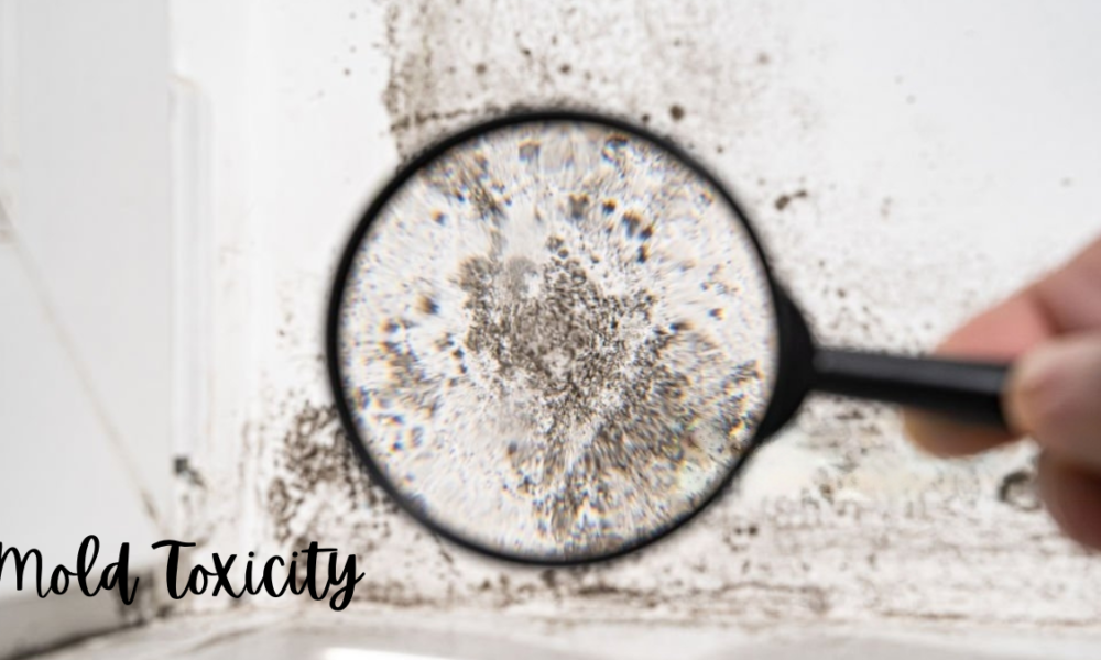 Mold Toxicity