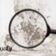 Mold Toxicity