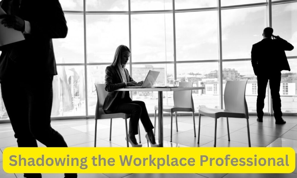 Shadowing the Workplace Professional