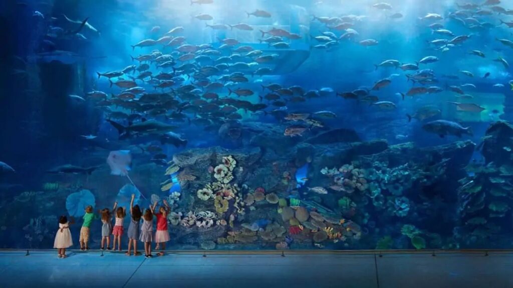 Dubai Aquarium and Underwater Zoo, UAE