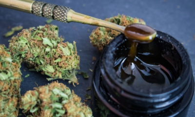 Gelonade Strain