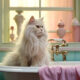 Pet Beautification Sector