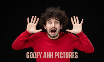 Goofy Ahh Pictures