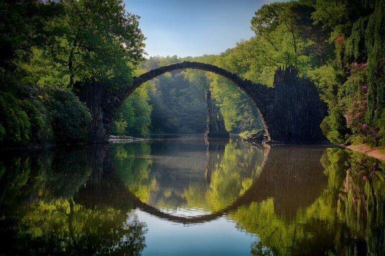 An illustration representing the interconnectedness of life and the universe.