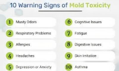 Mold Toxicity