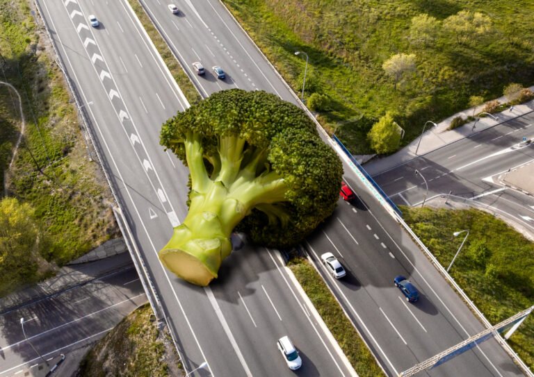 Organic Traffic Dropped