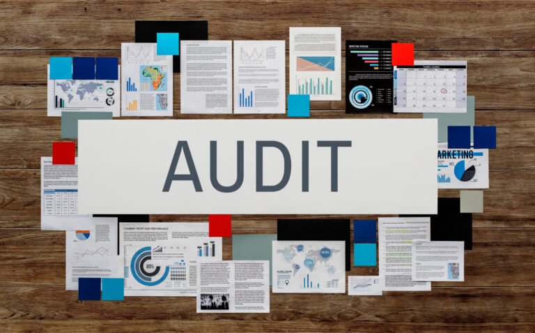 Web Accessibility Audits