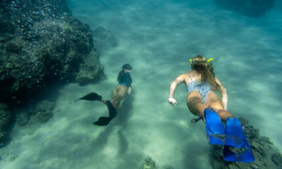 Diving Deep: Understanding the Root Causes of Obesity