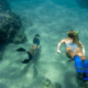 Diving Deep: Understanding the Root Causes of Obesity