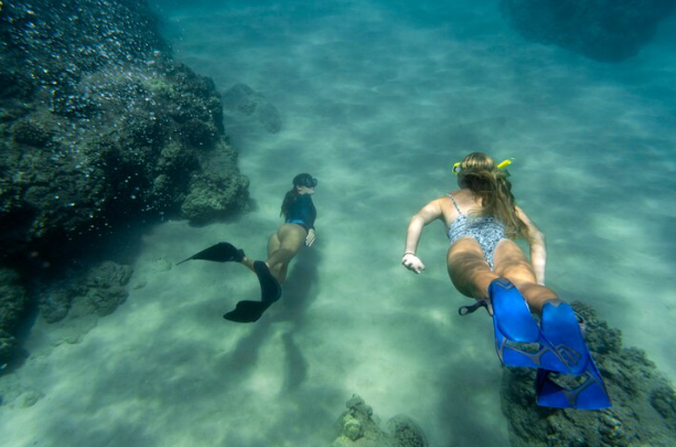 Diving Deep: Understanding the Root Causes of Obesity