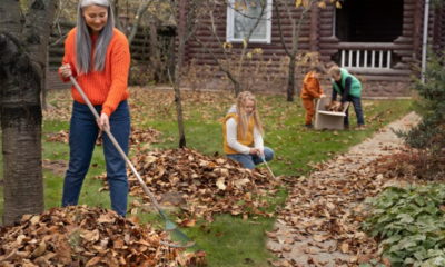 Clearing Away Debris: Springtime Cleanup