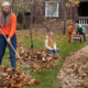 Clearing Away Debris: Springtime Cleanup