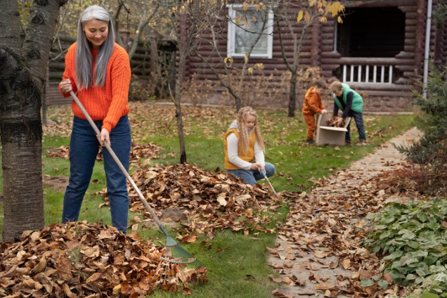 Clearing Away Debris: Springtime Cleanup