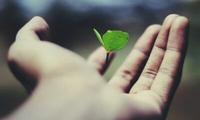 Change Your Life Today