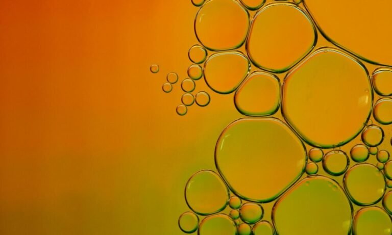 Exploring corpenpelloz