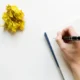 Ovestæ The Essence of Creative Writing