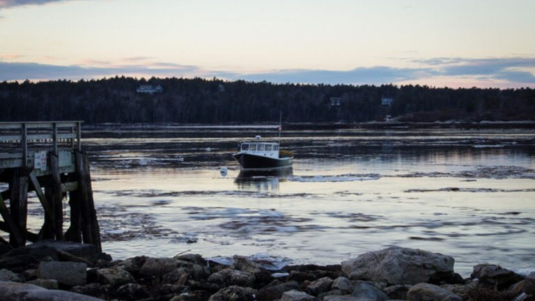 Storm Lake, Iowa, embodies a harmonious combination of facts, lifestyle, and modernity. Its numerous populace,