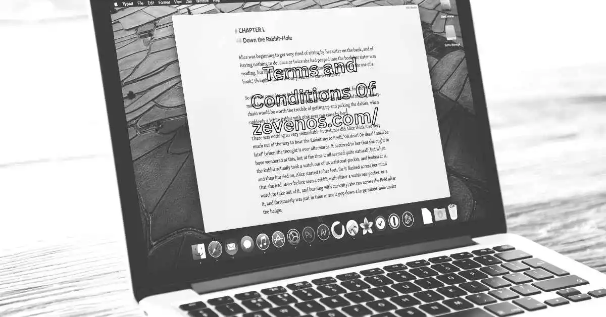 Terms and Conditions