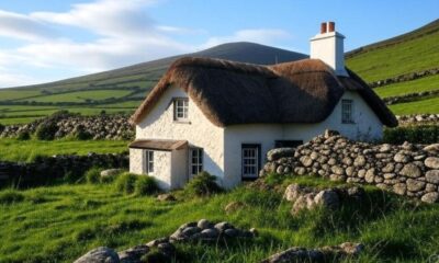 homes for sale in ireland countryside