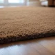 Carpet Rug Brown